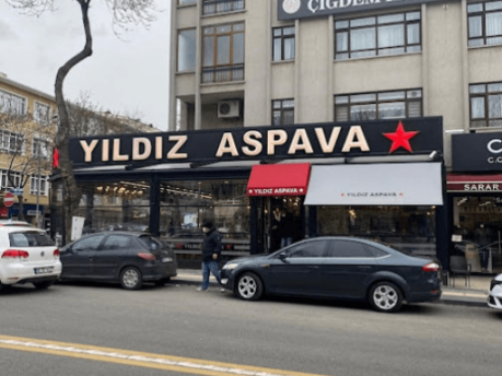 Yıldız Aspava Emek resmi