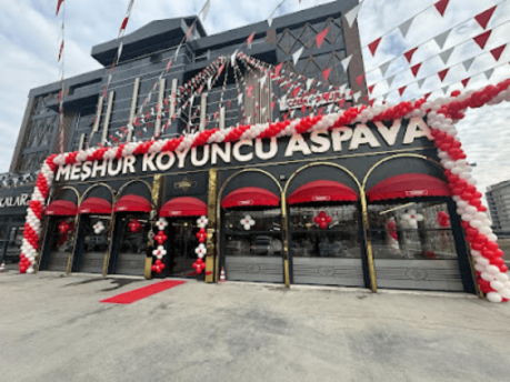 Meşhur Koyuncu Aspava resmi
